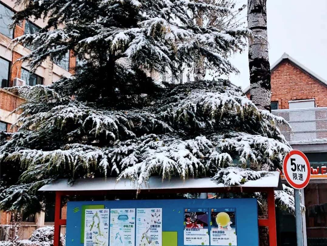 2023特色园区雪景评选结果出炉！